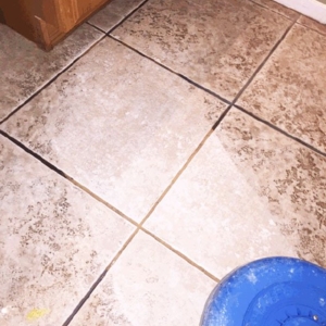Photo of Lifetime Carpet & Tile Cleaning