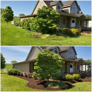 Photo of Grassbusters Lawn Care