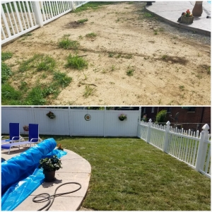 Photo of Grassbusters Lawn Care