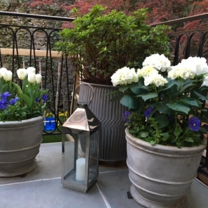 Photo of Nesi Brown Design