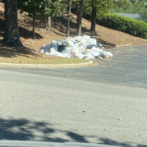 Photo of The Park at Hoover Apartment Homes