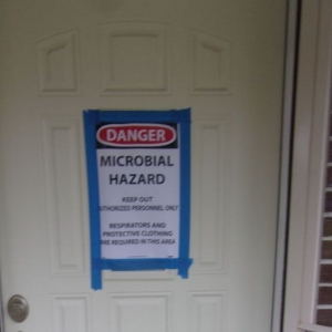 Jacksonville Shield Mold Remediation