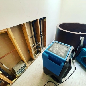 Salinas Soria Contracting and Solutions