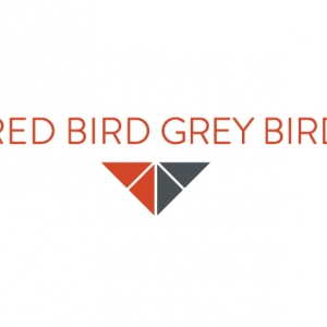 Photo of Red Bird Grey Bird