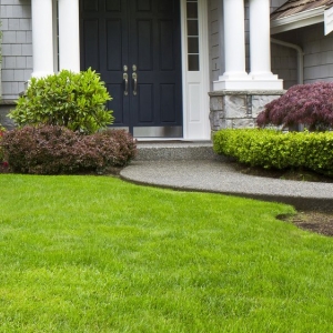 Photo of Plastino & Son Landscape Contractors