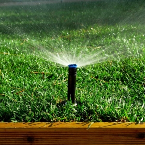Photo of Plastino & Son Landscape Contractors
