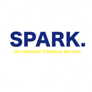 Nashville Spark