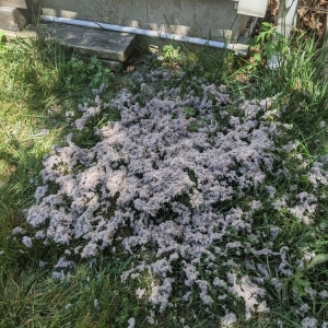 Photo of Royal Vent Cleaning