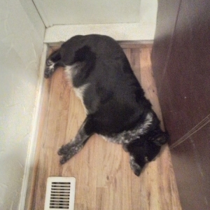 Photo of Broom Heating & Air Conditioning