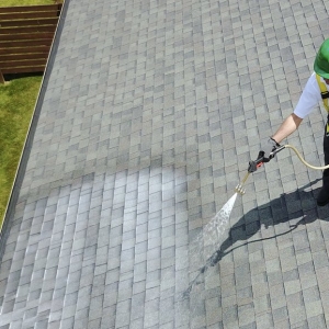 Photo of Roof Maxx