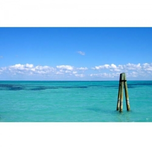 Photo of Blue Pacific Wealth Management