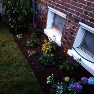 Photo of Neighborly Lawns
