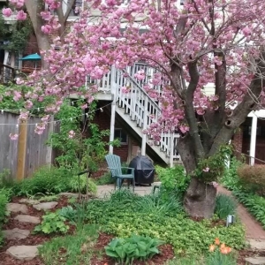 Photo of Neighborly Lawns