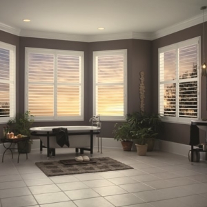 Suwanee Wellcraft Shutters