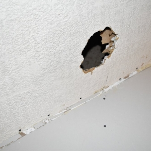 Photo of Collegeville Drywall Repair and Finishing