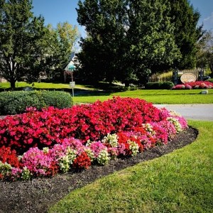 Photo of Gunn Landscaping