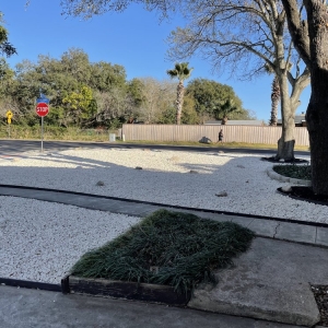 San Antonio A&V Tree and Landscaping