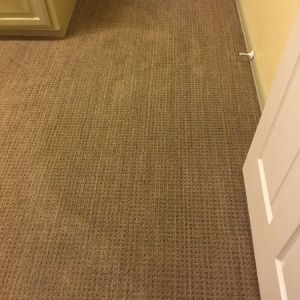 Photo of EcoSafe Dry Carpet Care