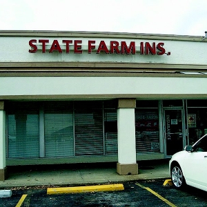 Photo of Mary Ann Surber - State Farm Insurance Agent