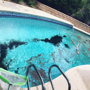 Photo of Water of Life Pool Service