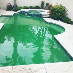 Photo of Water of Life Pool Service