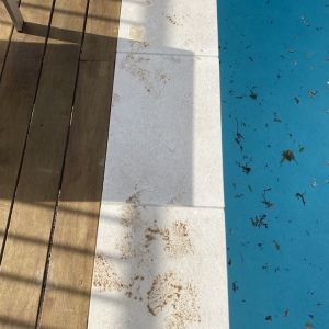 Photo of Aqua Clear Pool & Spa