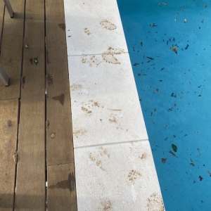 Photo of Aqua Clear Pool & Spa