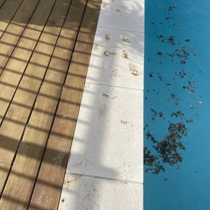 Photo of Aqua Clear Pool & Spa