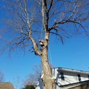 Photo of Brothers Landscaping
