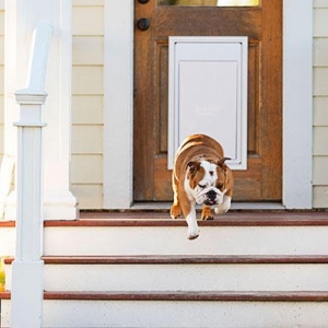 Photo of Invisible Fence of Savannah