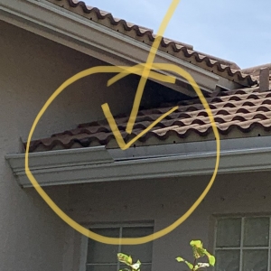 Photo of Elite Gutters