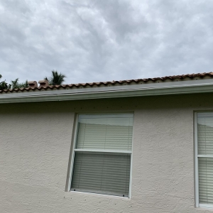 Photo of Elite Gutters
