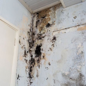 Photo of Vision Restoration Contractors