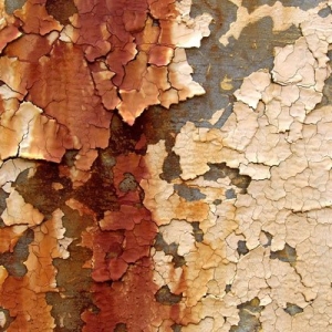 Photo of Vision Restoration Contractors