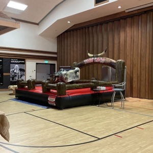 Photo of SD Bull Rental