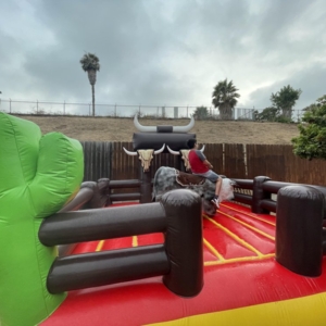Photo of SD Bull Rental
