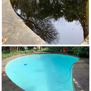 Photo of Pool Medic