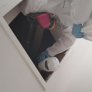 Photo of Discount Mold Removal of Henderson