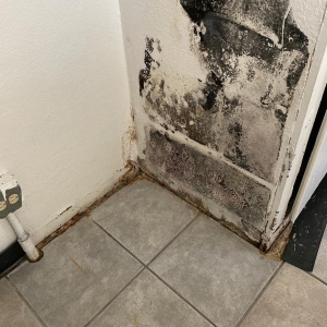 Photo of Discount Mold Removal of Henderson