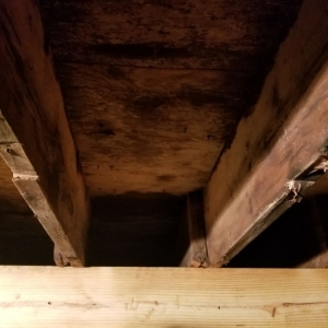 Photo of Mega Dry Water Proofing