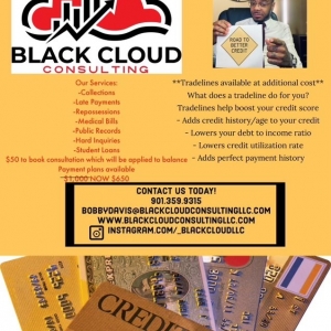 Photo of Black Cloud Consulting
