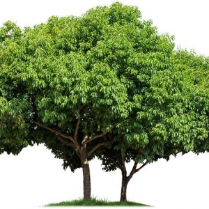 Photo of D&D Landscaping