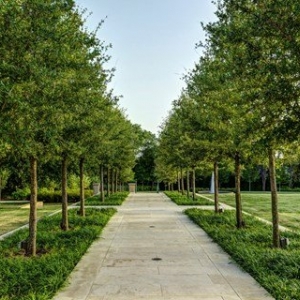Photo of D&D Landscaping