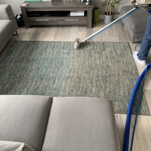 Photo of JS Carpet Cleaning