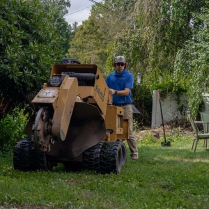 Photo of Professional Stump Removal of Baltimore