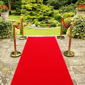 Photo of Belvedere Decor & Studio