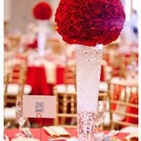 Photo of Belvedere Decor & Studio