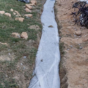 Photo of Oasis Landscaping and Drainage Solutions