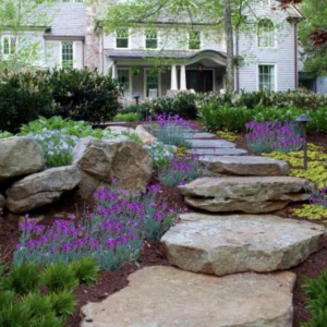 Photo of Oasis Landscaping and Drainage Solutions