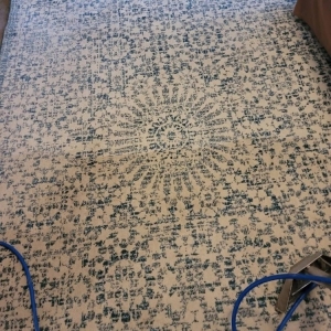 Photo of Simply Green Tile & Carpet Cleaning